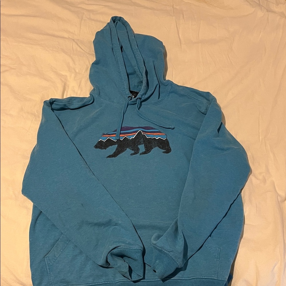 Patagonia Teal Bear Graphic Hoodie
